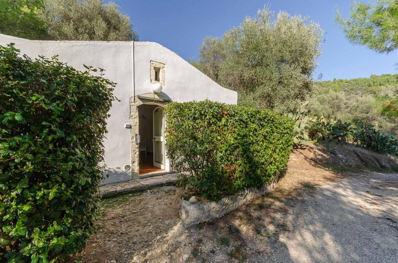 Agriturismo Madonna Incoronata Mattinata Exterior foto